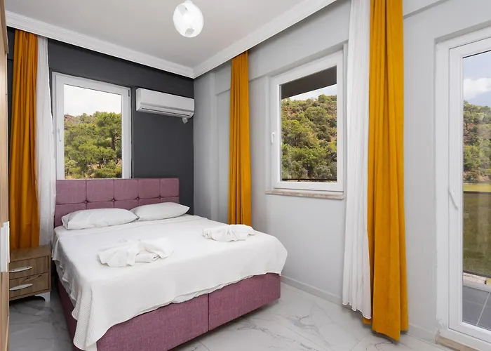 Sasha 3 فيلة أورتاجا